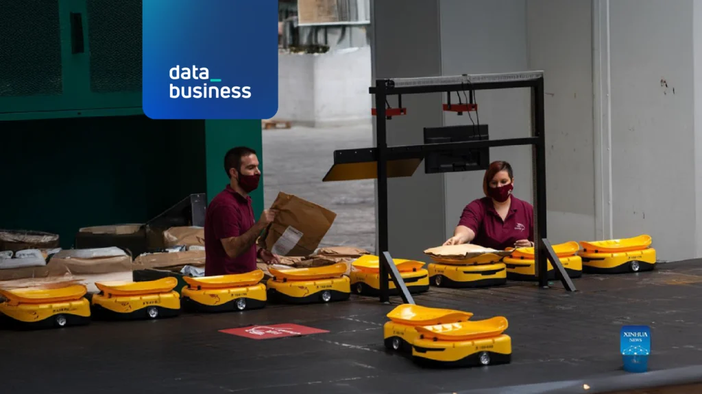 clasificación automatizada